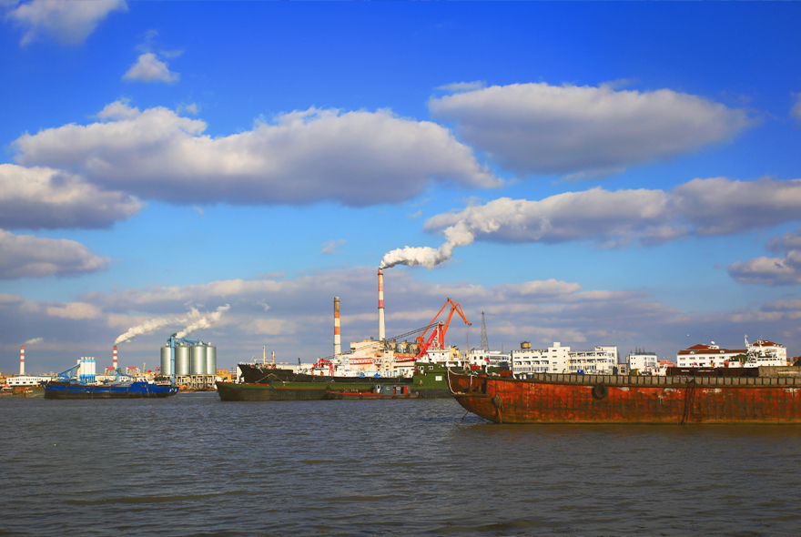 Import & Export Agent